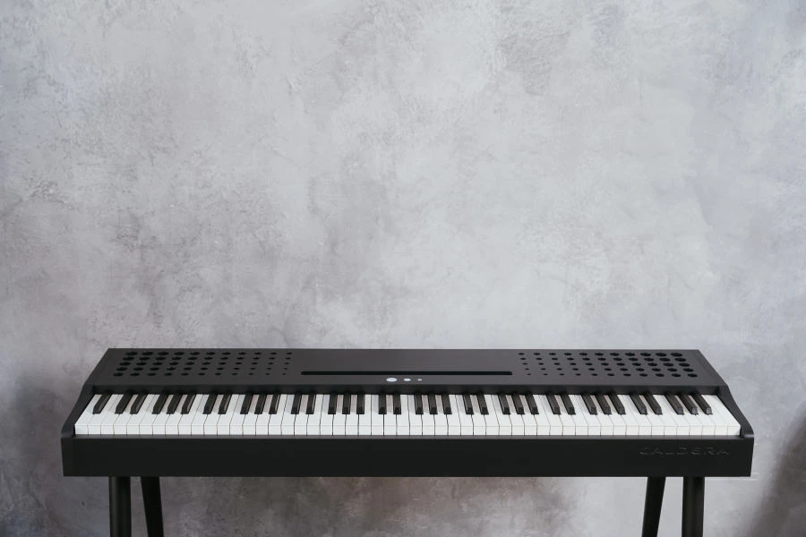 Author's digital piano Caldera F10