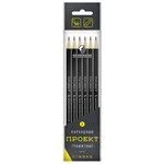 Graphite pencils "VKF" "Project" 6P-4010 Set of graphite pencils OPP sharpened assorted 8 x 6 pcs.
