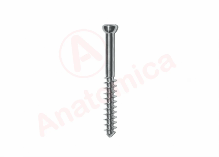 Sponge screw, thread length 32 mm