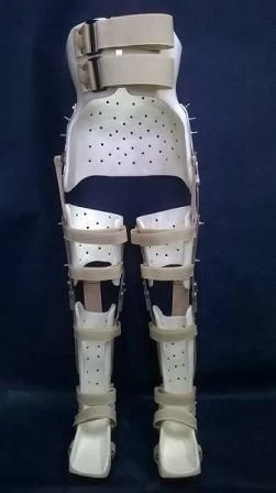 Apparatus for lower limbs and torso (orthosis)