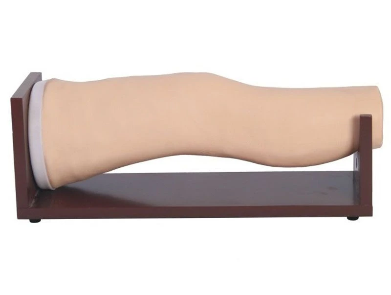 Model for knee joint injection, item L72S