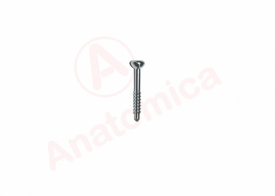 Malleolar screw