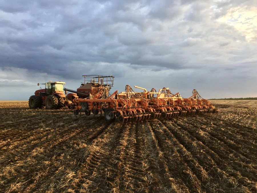 Seeder grain drill PK-12,7