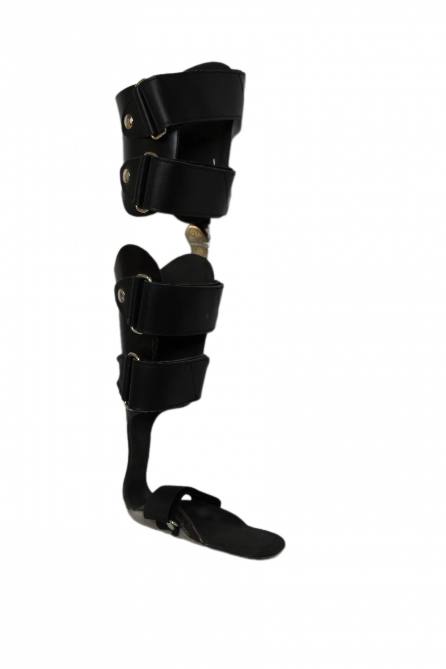 Ankle and knee joint apparatus