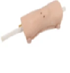Model for knee arthroscopy, art. no. LV65