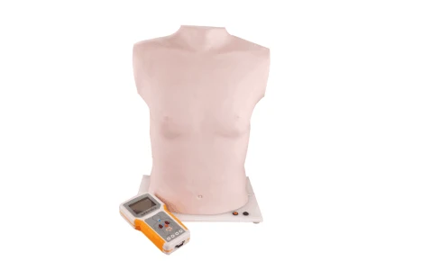 Chest auscultation and palpation mannequin, Art.No.PE6414 / XF