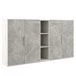 Medium 4-leaf cupboard with B-tone niche