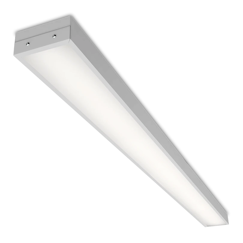 WOLTA PRO GIMNAZIST DPO02-54-101-5K 54W 5000K IP40 Frosted luminaire