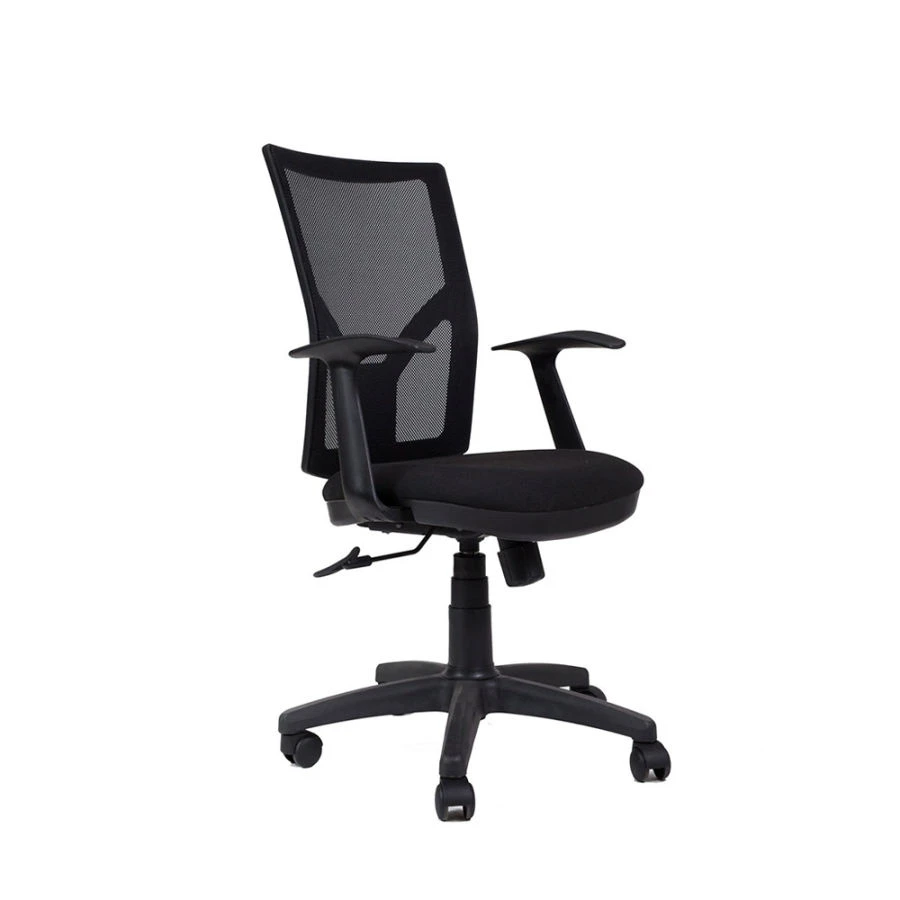 Armchairs with metal frame: LEDA