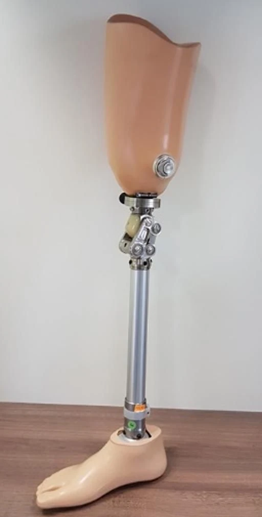 Modular hip prosthesis, including for congenital underdevelopment, PN6-M.1