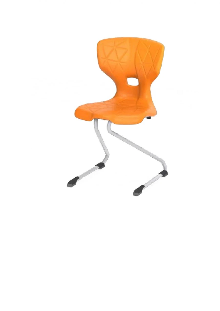 Pupil's chair article ??13