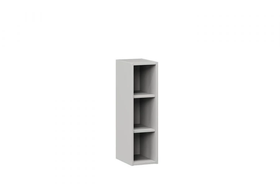 Anastasia Type 3 739 case