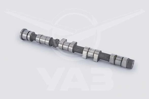 EXHAUST VALVES CAMSHAFT 409051.1006012-00