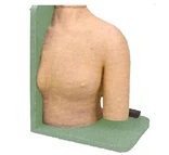 Model for teaching shoulder puncture L70/CS6262