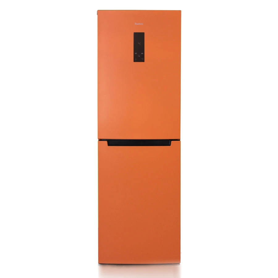 Refrigerator-freezer "Biryusa T940NF"
