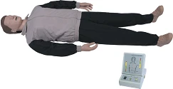 CPR training dummy, item CPR2300 / CPR230S