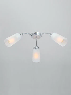 General purpose fixed luminaire V3758-9/3PL