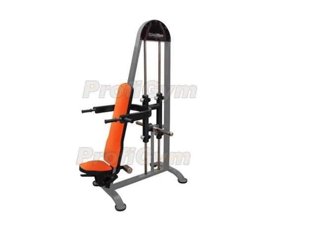 TD-0050-D. Vertical press