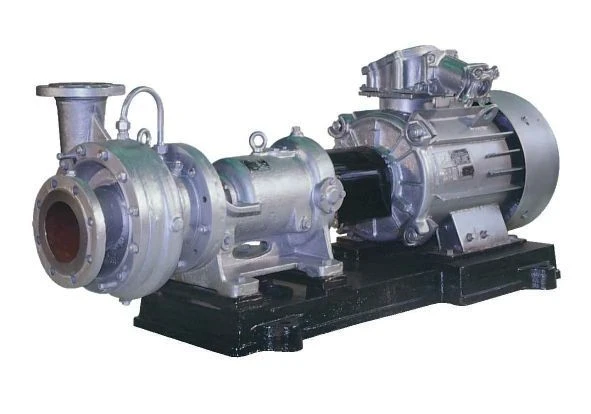 Electric pumping unit of "NK" type