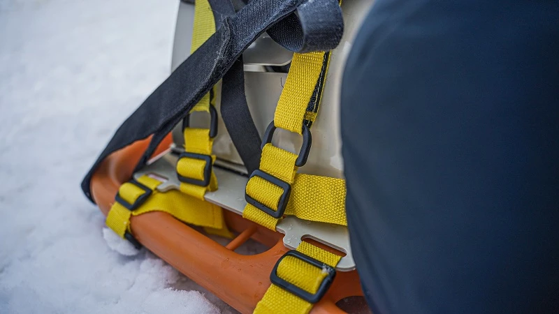 Head fixator attached to board
