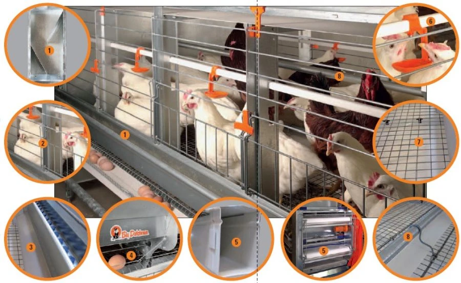 Poultry equipment for parent stock of laying hens, model EV-P 1250