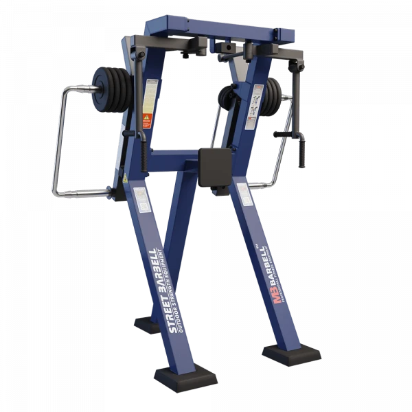 Arm extension in standing position with variable load