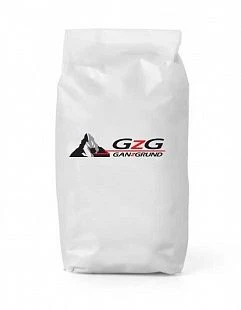CementGrund R60 fine injection compound