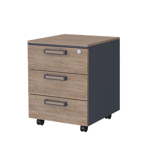 Mobile cabinet with central lock PREGO