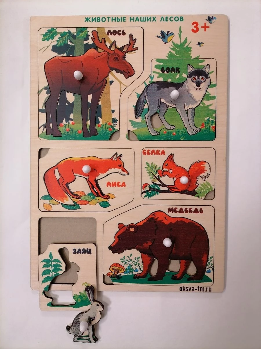 Frames-inserts "Animals of our forests"