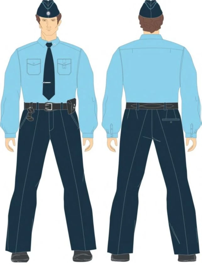 Men's office shirts for employees of departmental security service of PJSC Transneft, commodity code C.