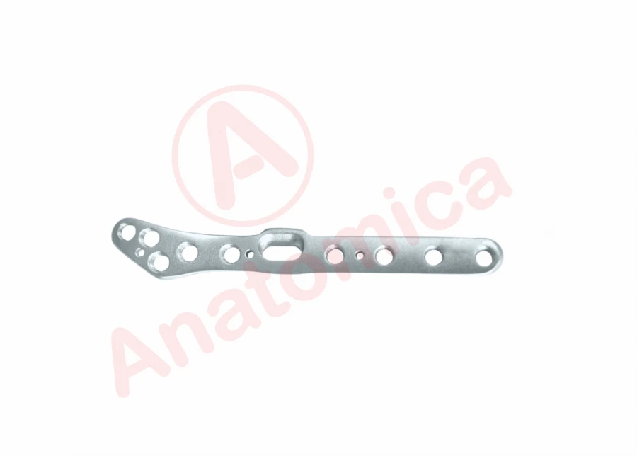 Plate for distal fibula with angular stability.
