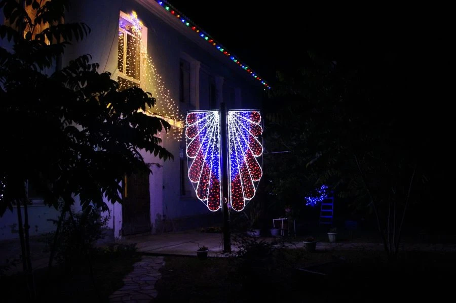 LED console (LED panel) "Valour" - decorative street lamp on the brackets (modifications 220V, 24V,12V)