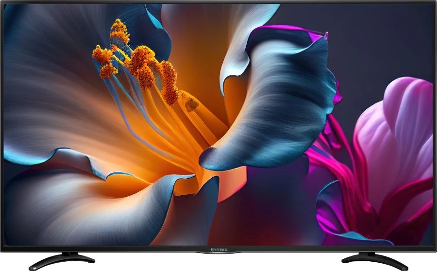55 inch (139 cm) diagonal LCD colour television IRBIS model MIR 55 (RLHE.463267.05)