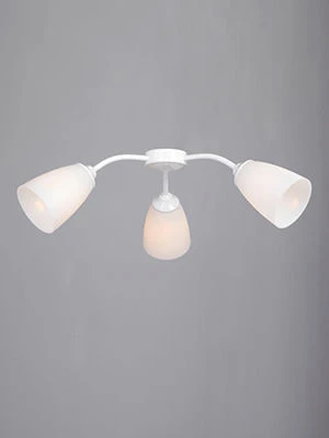 General purpose fixed luminaire V3187-0/3PL