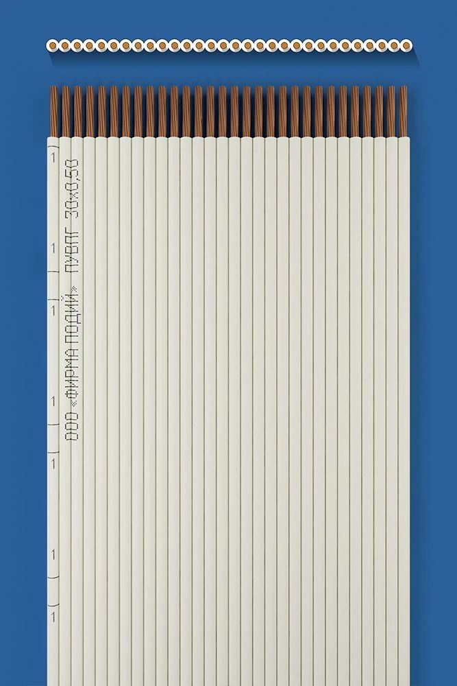 Flat installation wire PUVPG 30x0,50