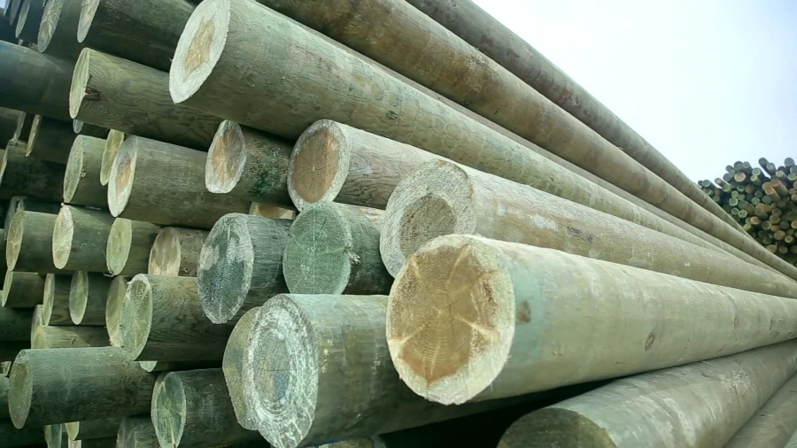 Wooden Elements for Power Line Support, 8.5m, 0.4-35kV, Preserved with SSA Antiseptic