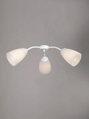 General purpose fixed luminaire V3187/3PL