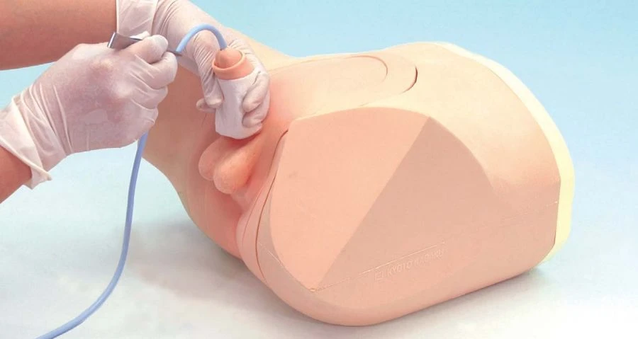 Catheterisation and enema trainer, NS6070