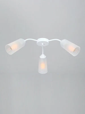 General purpose fixed luminaire V3758-0/3PL