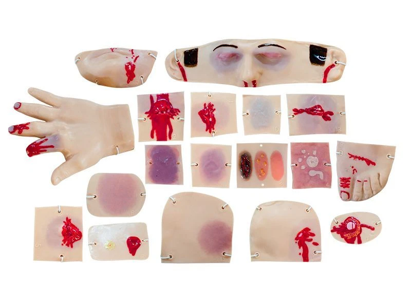 Wound and lesion simulators MU0641