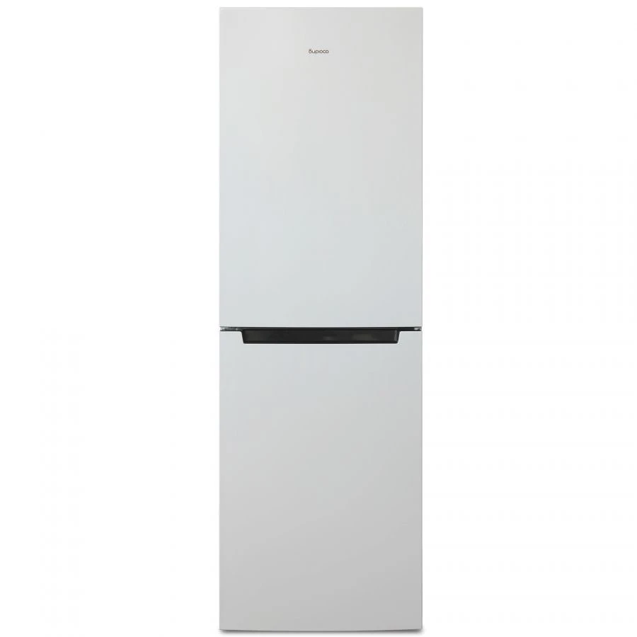 Refrigerator-freezer "Biryusa 840NF"
