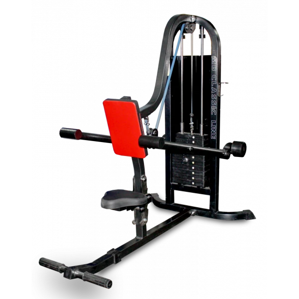 Triceps. Down press (weight block)