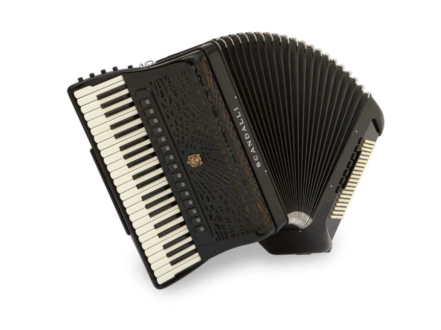 Accordion Musa Talia