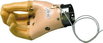 Brush 3B 027 with passive grip