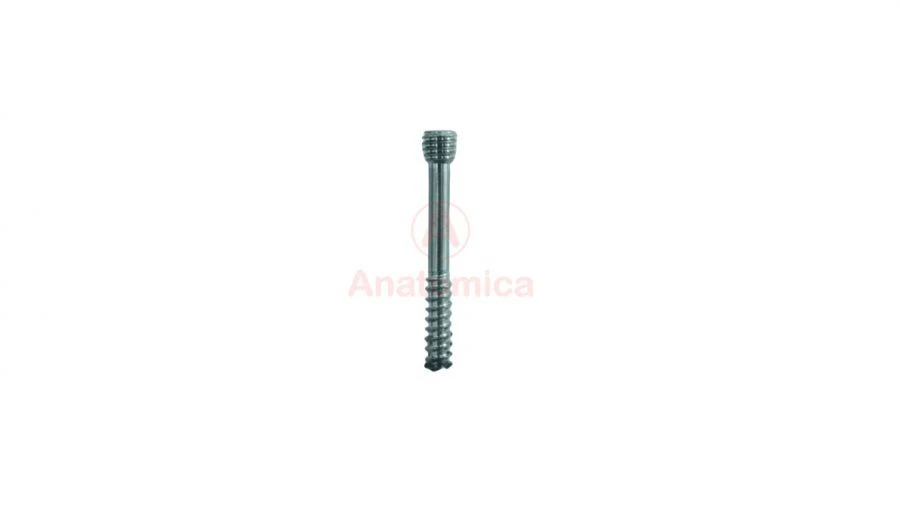 Herbert screw