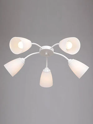 General purpose fixed luminaire V3108-0/5PL