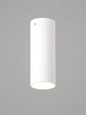 General purpose fixed luminaire V4641-0/1PL