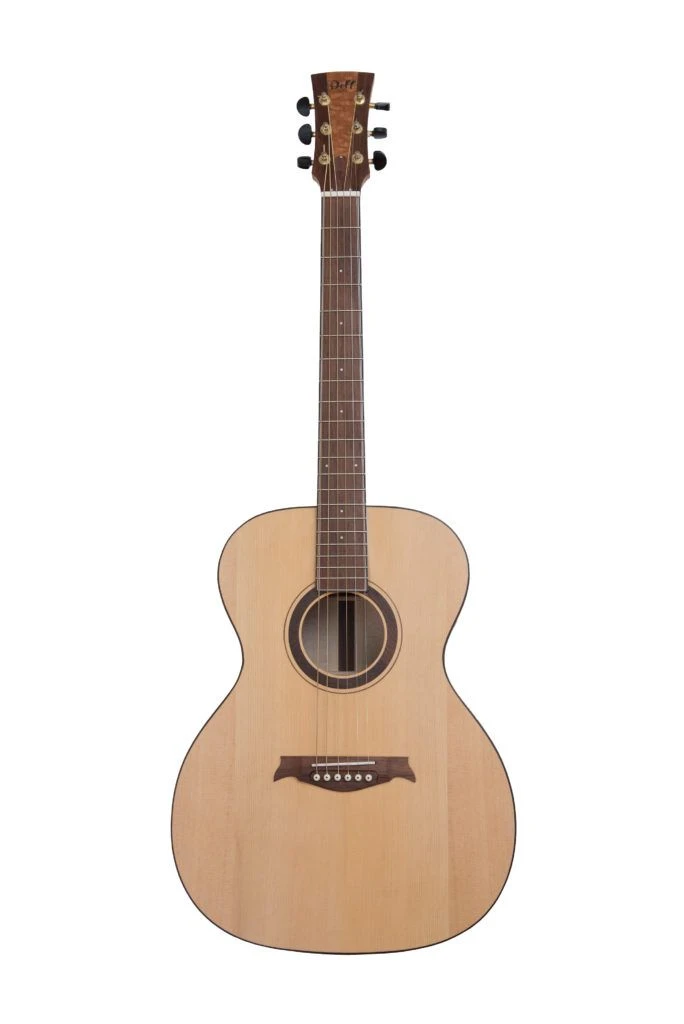 Acoustic guitar