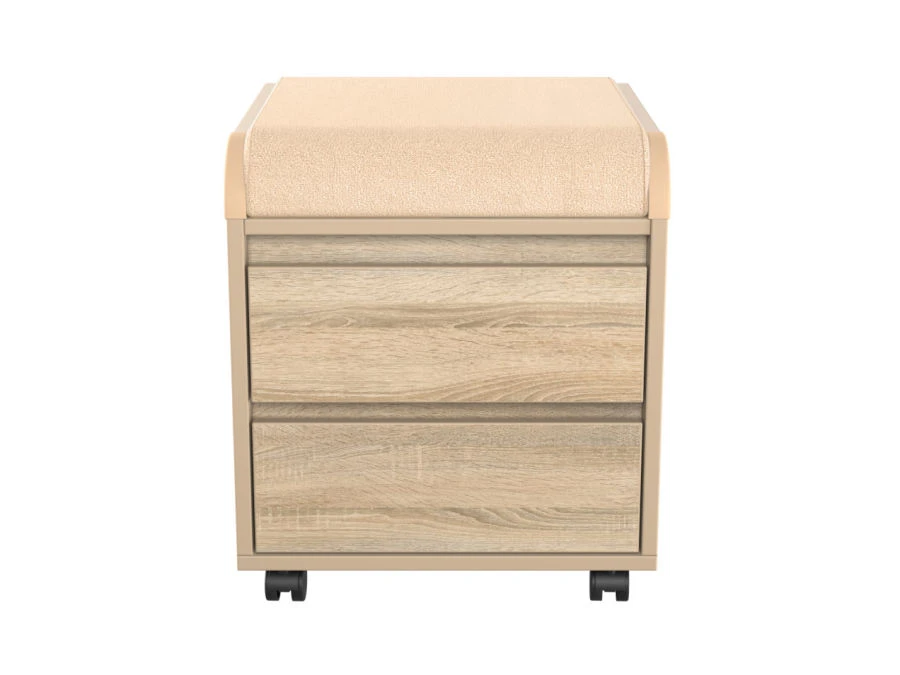 Trolley cabinet, models TUV.17