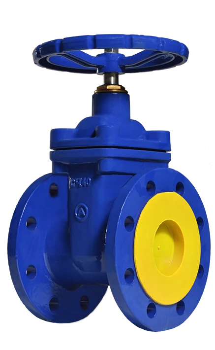 Rubberised wedge gate valve, type ZKCH; DN 50-600; PN 16